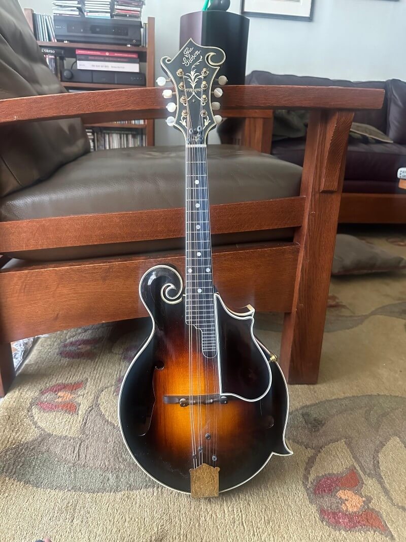 Mandolin